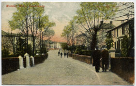 Wellshot Drive circa cira 1900, The white gate posts on the left is the entrance to No.34 and remain the same today.
The 3rd house on the right stands at the junction of Prospect Avenue. Card Postmarked 1904 - Reliable Series No 237